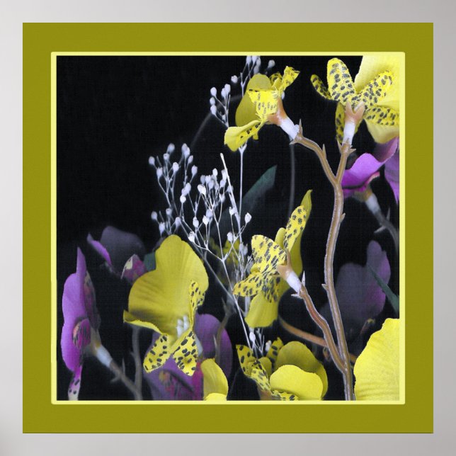 Pôster 0705a. (Frente)