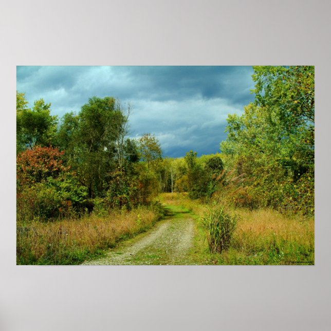 PÔSTER 100309-295-AWA (Frente)