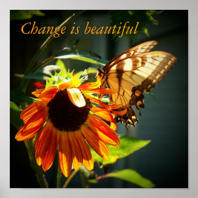 Pôster 100_1974, A mudança é bela (Frente)