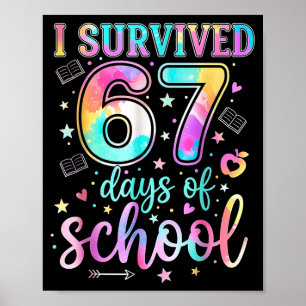 Poster 100 Dias De Escola Eu Sobrevivi 67 Dias De Escola