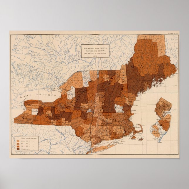 Pôster 103 Cancer, tumor NY, NJ, Nova Inglaterra (Frente)