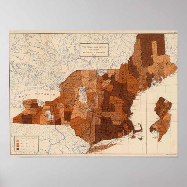 Pôster 107 Influenza NY, NJ, New England (Frente)