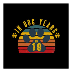 Pôster 10 Em Anos de Cachorro