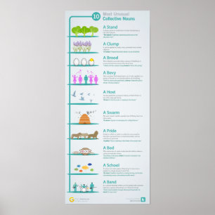 Poster 10 substantivos Coletivos Incomuns Revelados e Exp