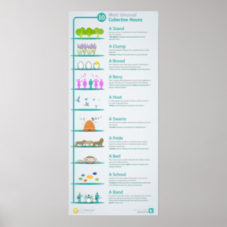 Poster 10 substantivos Coletivos Incomuns Revelados e Exp