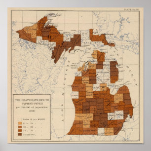 Pôster 110 Febre tifoide Michigan