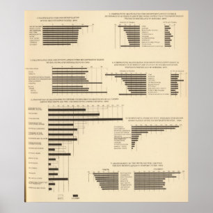 Pôster 111 taxas de mortalidade 1900