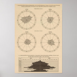 Poster 116 Deaths whooping cough