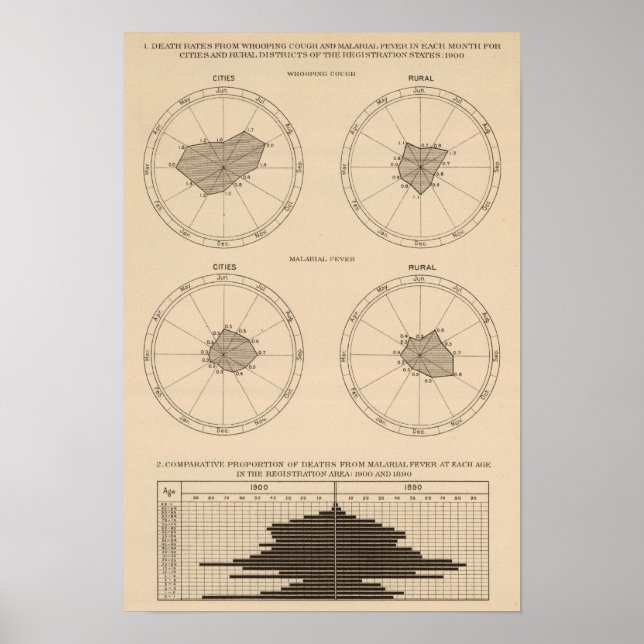 Poster 116 Deaths whooping cough (Frente)