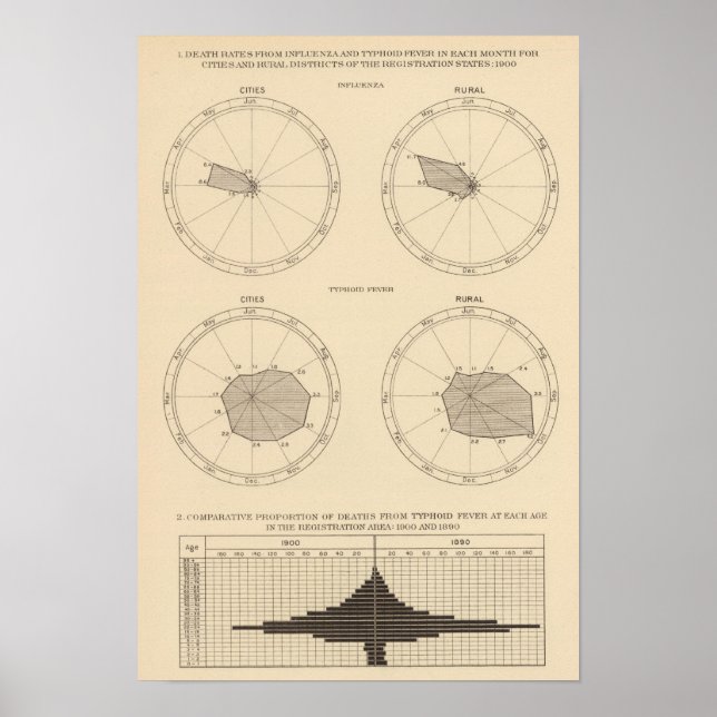 Pôster 117 Mortes por gripe, febre tifoide 1900, 1890 (Frente)