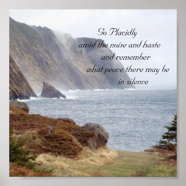 Pôster 134, Vá acidentalmente entre o barulho e a pressa. (Frente)