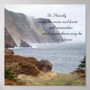 Pôster 134, vão calma   entre o ruído e a HASTE    …