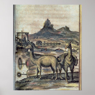 Pôster 137-0627924 ilustração de uma história de Peru 