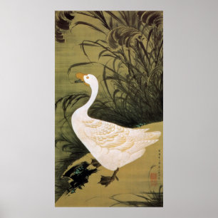 Pôster 13. 芦鵞図, junco do 若冲 & ganso, Jakuchū,