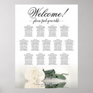 Poster 13 Mesa Ivory White Rose Casation Chart