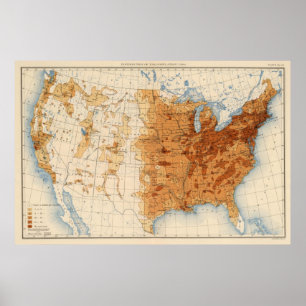 Poster 13 População 1900