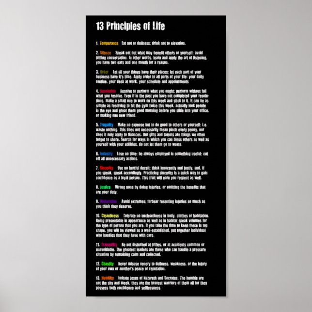 Poster 13 Principles of Life (Frente)