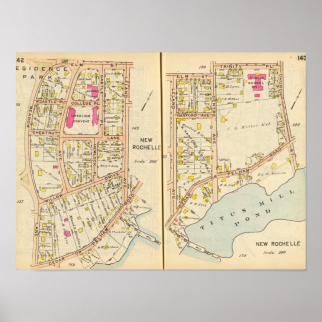 Pôster 142143 Nova Rochelle (Frente)