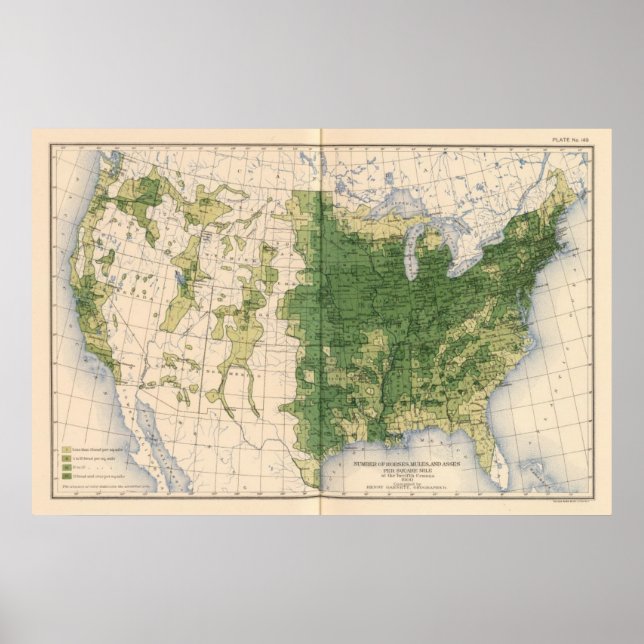 Pôster 149 Cavalos, mulas, asas/milha quadrada (Frente)