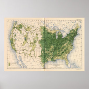 Pôster 149 cavalos, mulas, milha de asses/sq