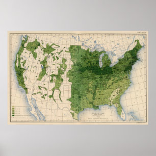 Poster 155 milhos/acre