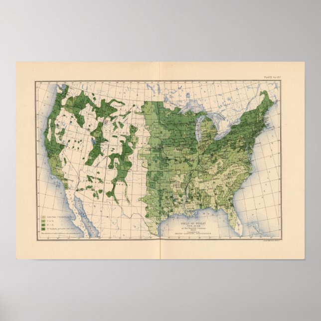 Pôster 157 Trigo/acre (Frente)