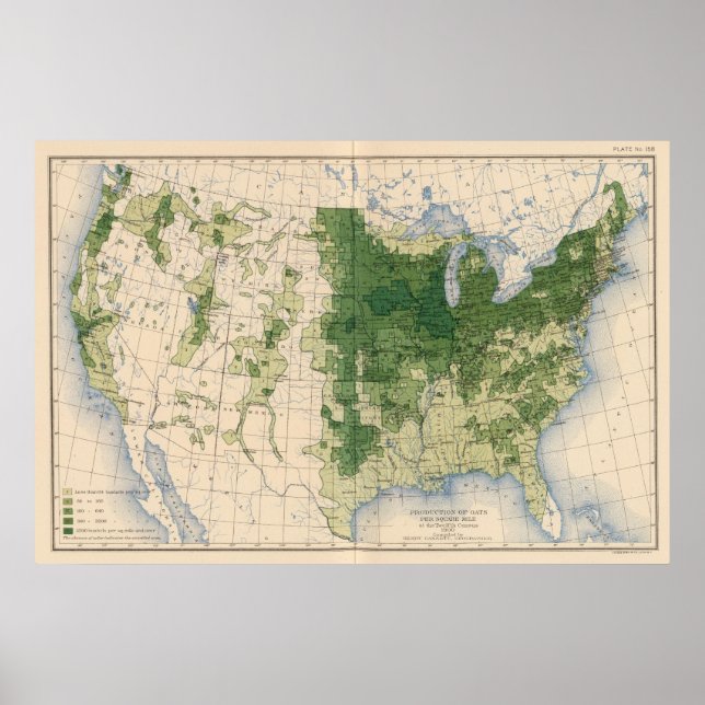 Poster 158 Aveia/milha quadrada (Frente)