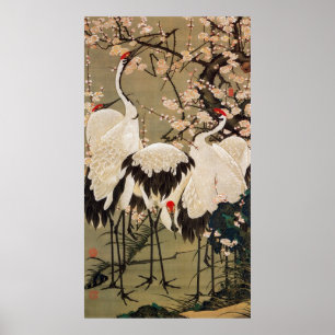 Pôster 15. o 梅花群鶴図, ameixa do 若冲 floresce &