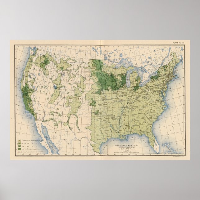 Pôster 161 Cevada/milha quadrada (Frente)