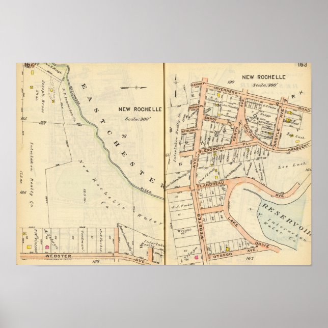 Pôster 162163 Nova Rochelle (Frente)