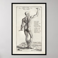 1691 Anatomia Artística Músculos de Arte Corporal