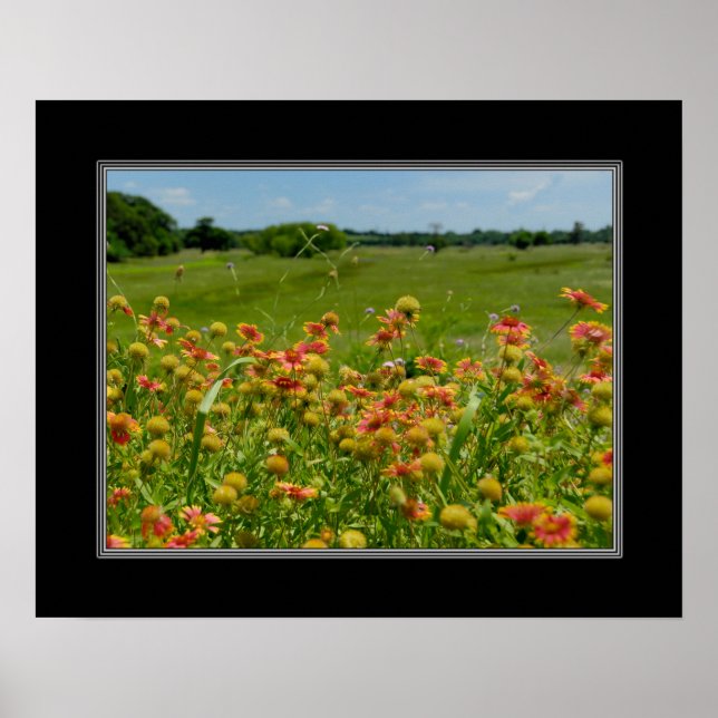 Pôster 16x20 Flor-do-índio (Frente)