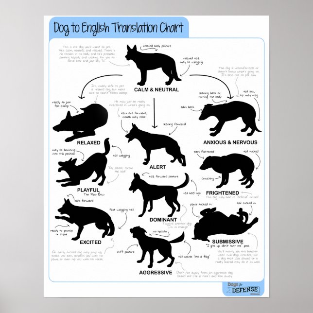 Poster 16x20 Língua corporal (Frente)