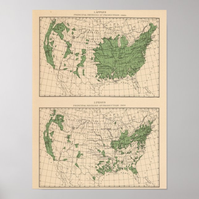 Pôster 174 Maçãs, peras, regiões principais (Frente)