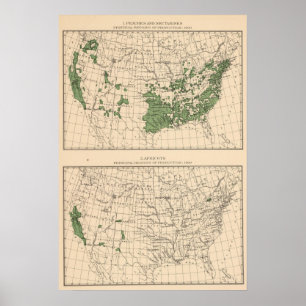 Pôster 176 pêssegos, nectarina, abricós