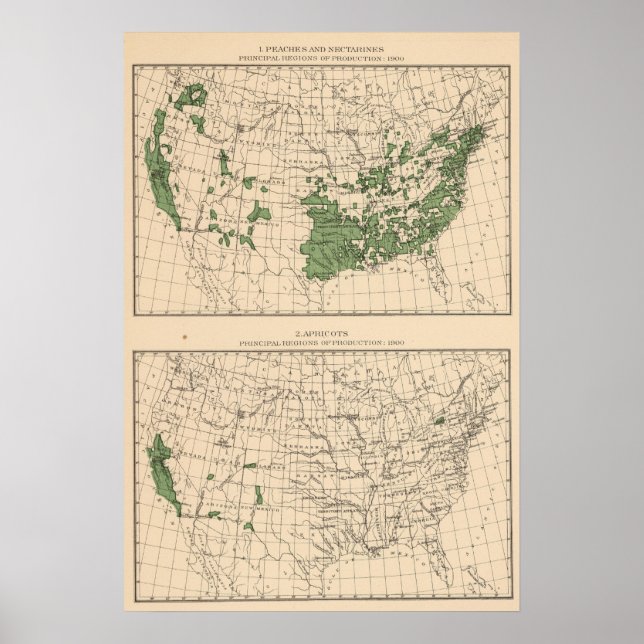 Pôster 176 Pêssegos, nectarinas, damascos (Frente)