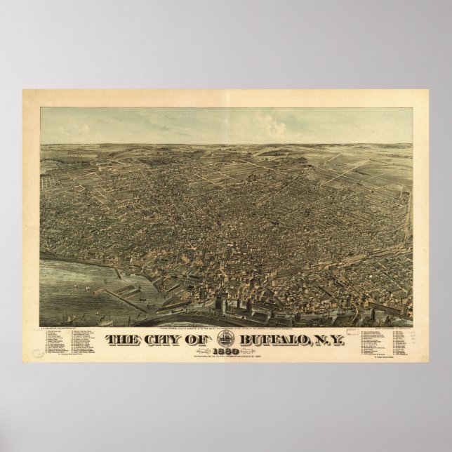 Poster 1880 Buffalo, NY Birds Olham Ver Mapa Panorâmico (Frente)