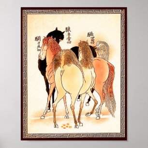 Pôster 18 Cavalos: Chamada de Natureza