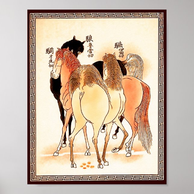 Pôster 18 Cavalos: Chamada de Natureza (Frente)