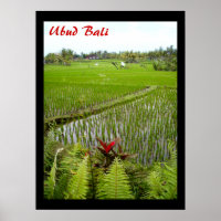 Poster (18" x 24") O Ubud Bali Flor