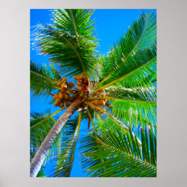 Poster (18" x 24") Palm Tree Vanuatu