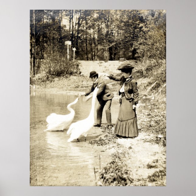Pôster 19º C. Cisnes em Paris (Frente)