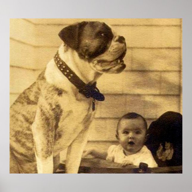 Poster 1920 pitbull guarda bebê (Frente)