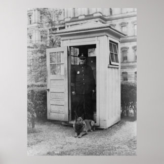 Pôster 1929, cão policial belga na Casa Branca