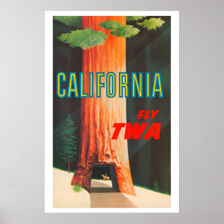 Poster 1950s TWA California Redwoods Drive Thru Tree