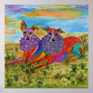 Poster 19" dos galgos italianos x 13"