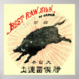 Pôster 19o C. Seda japonesa