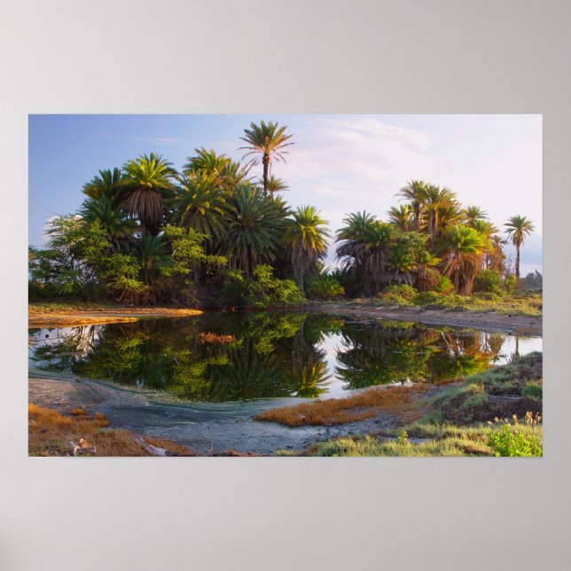 Pôster 1.000.000 Anos C. (Frente)