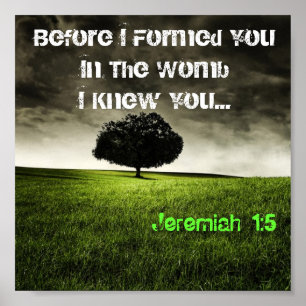 Pôster 1:5 de JEREMIAH (árvore)