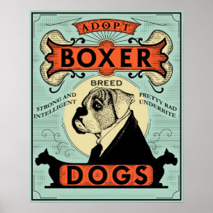 Poster 1 do pugilista